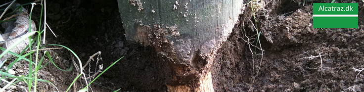 Træstolper rådner i jorden